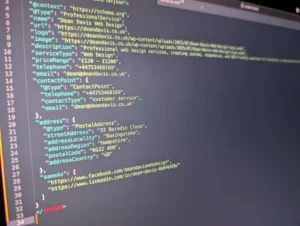 How To Add Schema To Wordpress