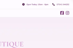 Show todays opening time on wordpress
