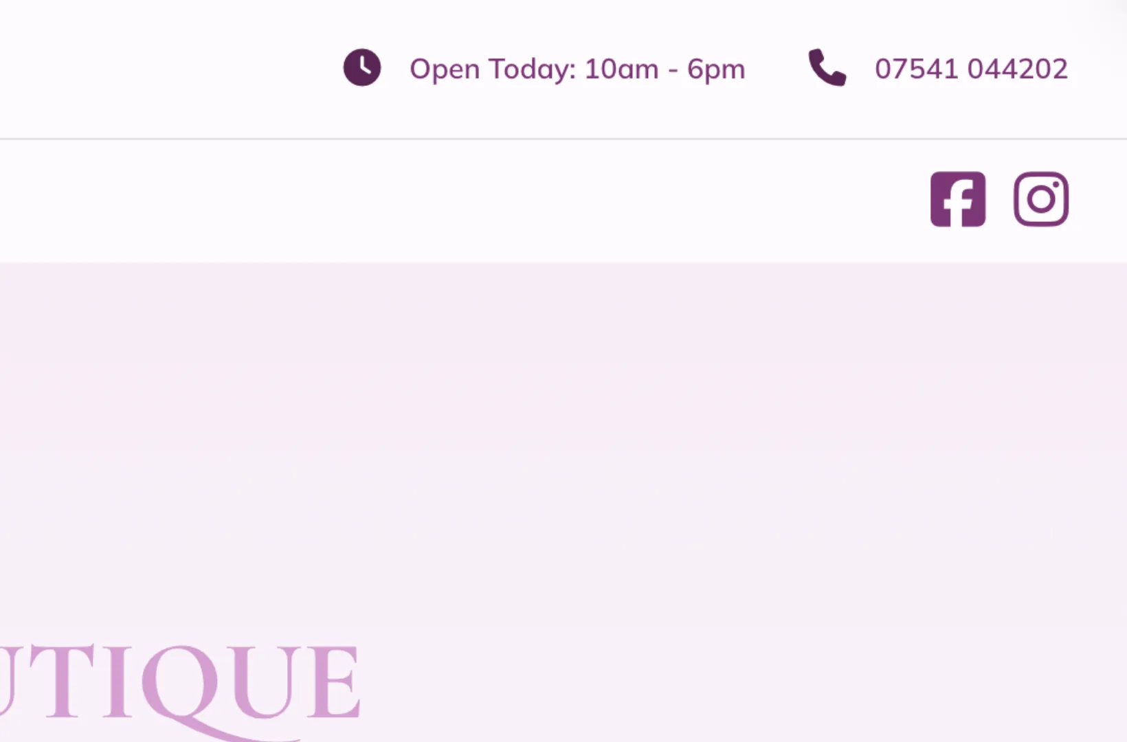 Show todays opening time on wordpress